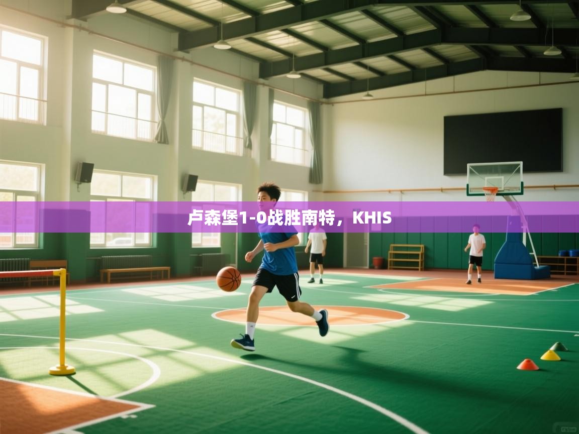 卢森堡1-0战胜南特,KHIS 第2张