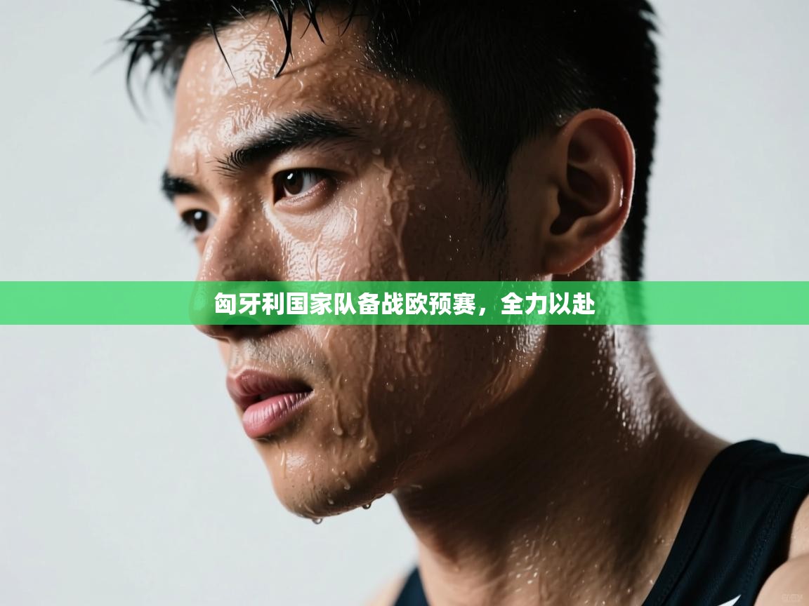 匈牙利国家队备战欧预赛,全力以赴 第1张