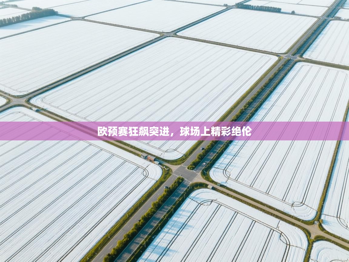 欧预赛狂飙突进，球场上精彩绝伦  第2张