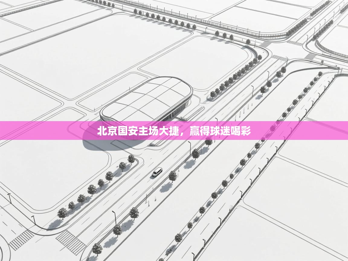 北京国安主场大捷，赢得球迷喝彩  第1张