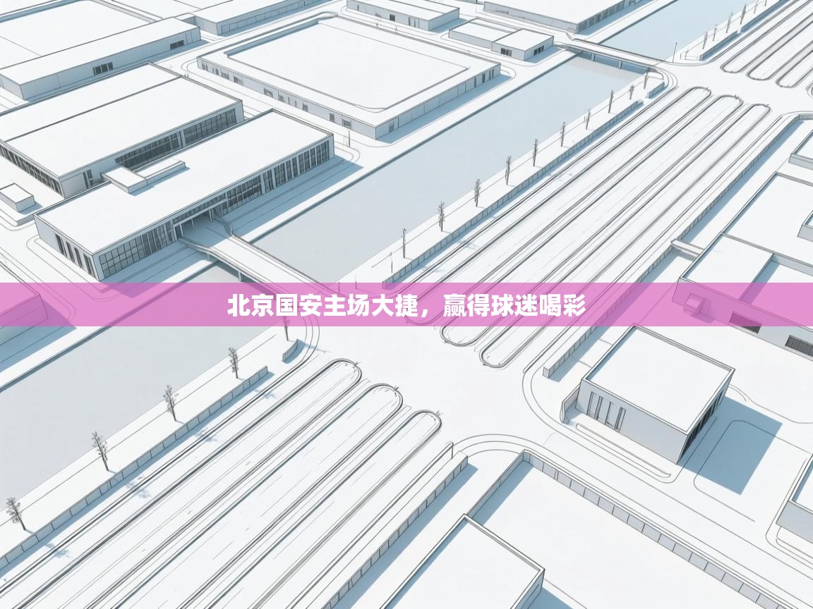 北京国安主场大捷，赢得球迷喝彩  第2张