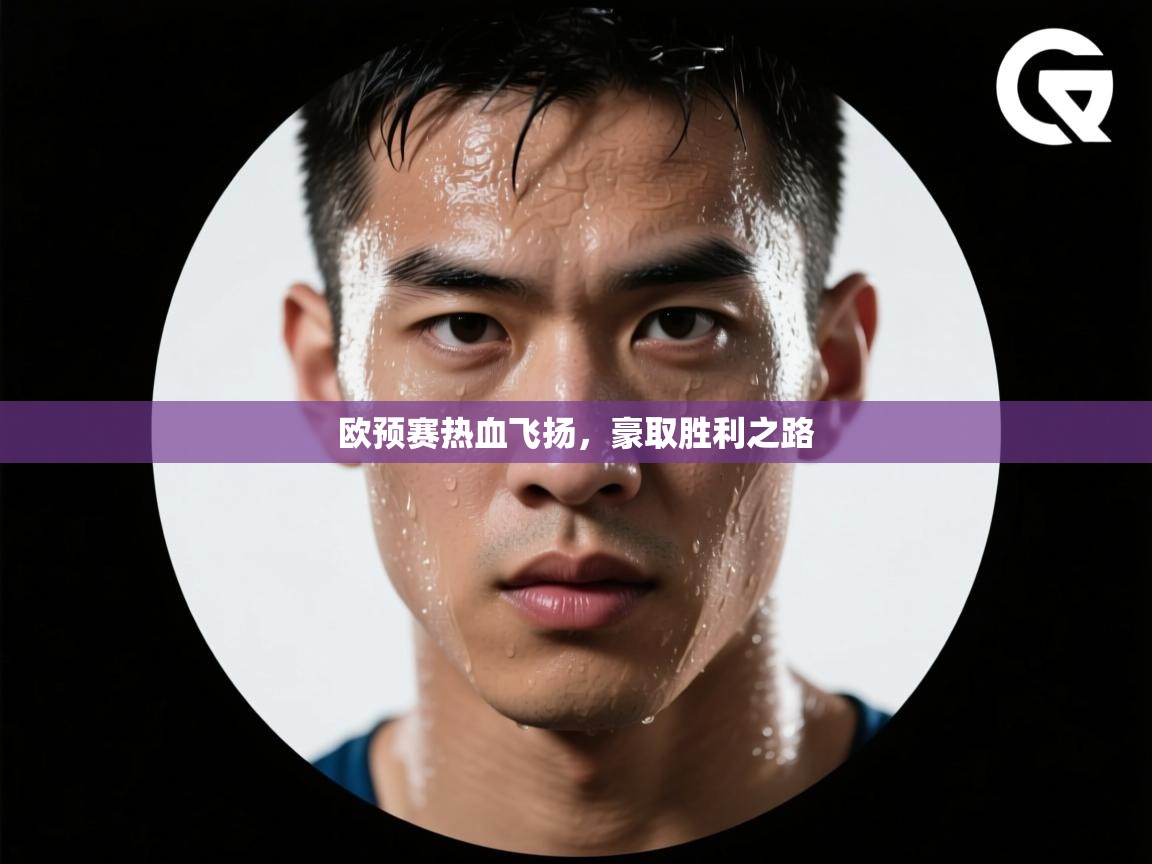 欧预赛热血飞扬，豪取胜利之路  第2张