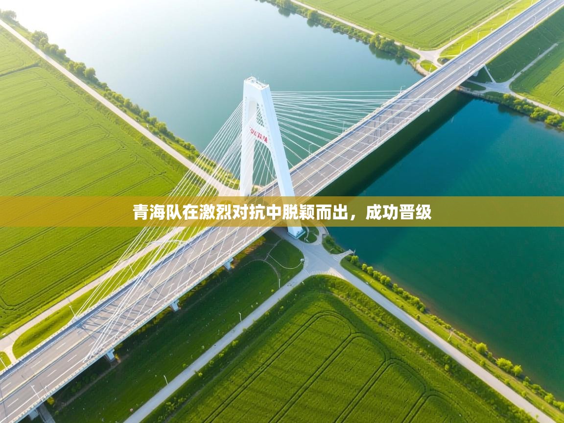 青海队在激烈对抗中脱颖而出,成功晋级 第1张