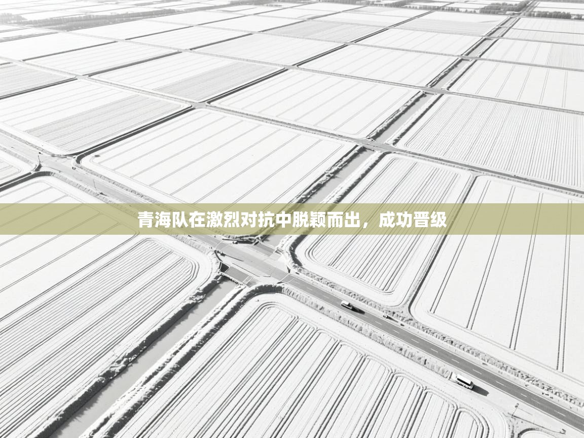 青海队在激烈对抗中脱颖而出,成功晋级 第2张