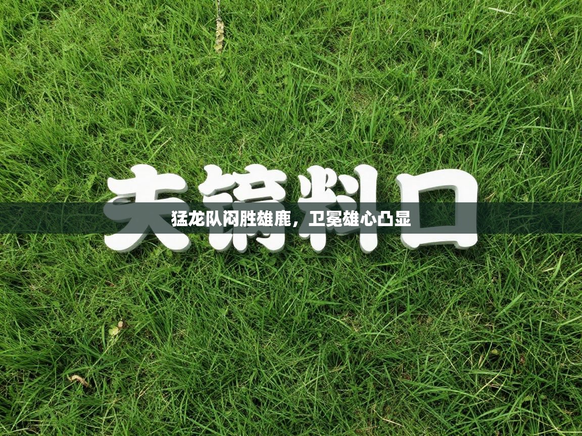 猛龙队闷胜雄鹿，卫冕雄心凸显  第1张