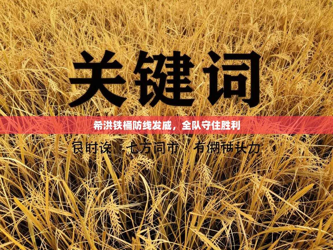 希洪铁桶防线发威,全队守住胜利 第2张