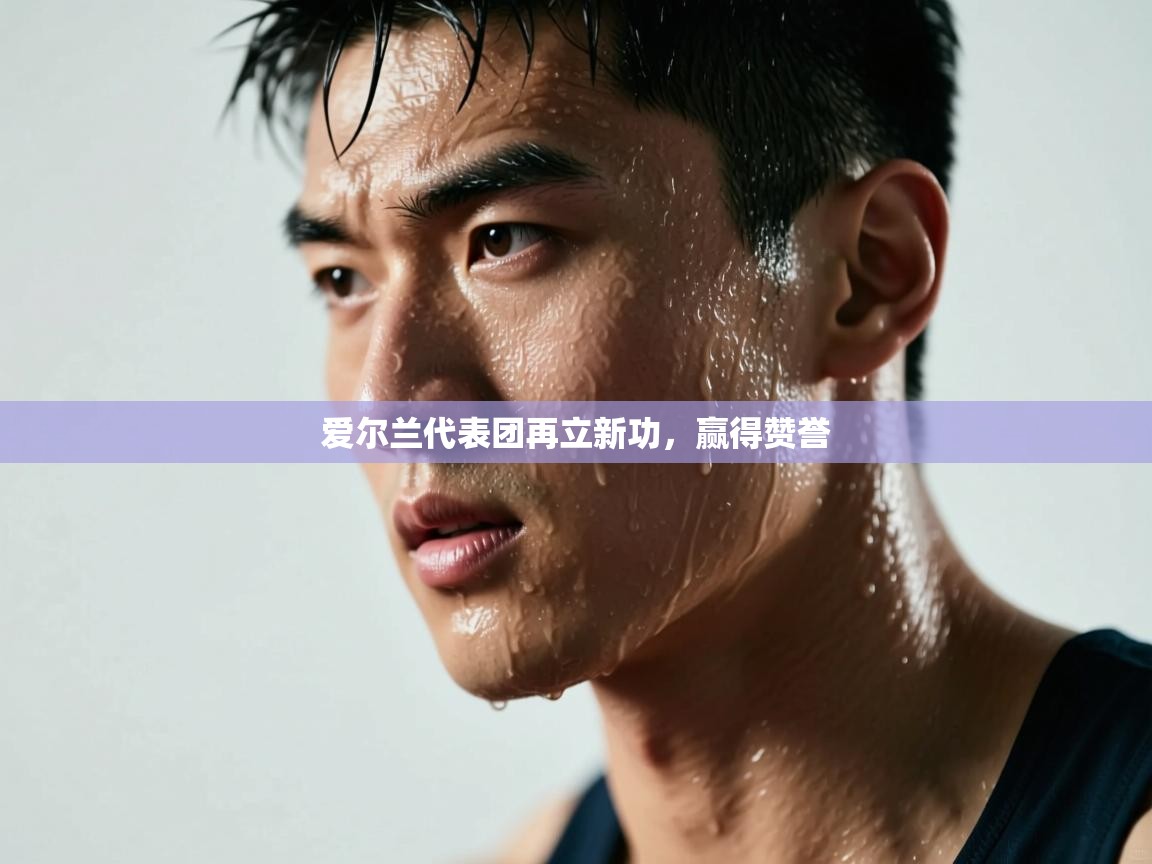 爱尔兰代表团再立新功，赢得赞誉  第1张