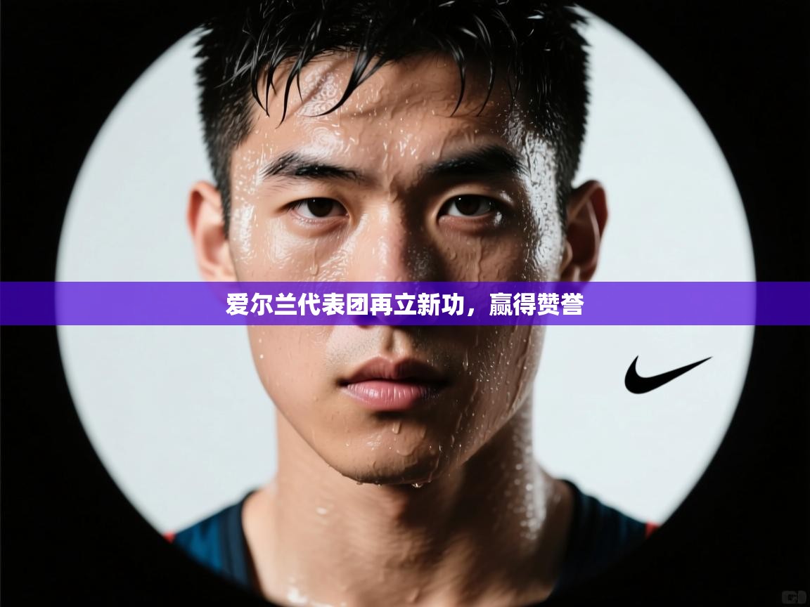 爱尔兰代表团再立新功，赢得赞誉  第2张