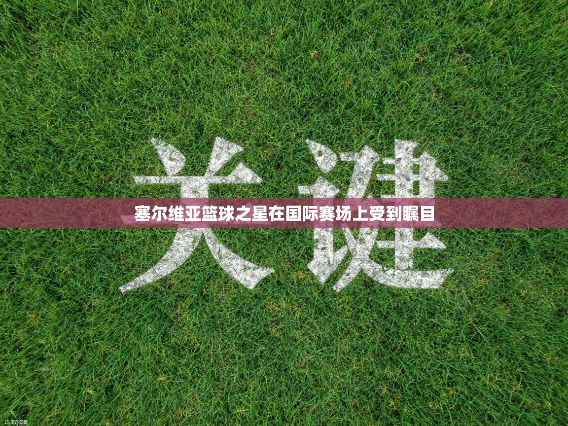 塞尔维亚篮球之星在国际赛场上受到瞩目  第1张