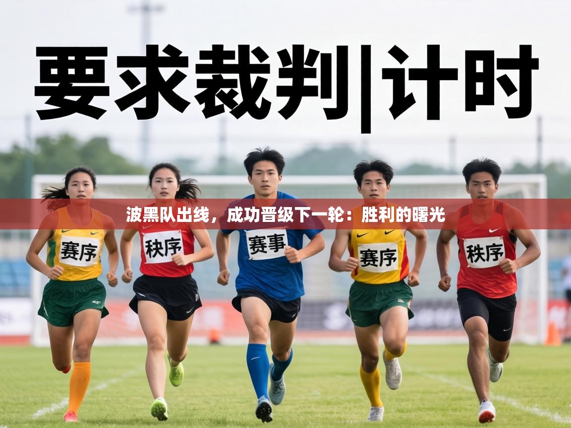 波黑队出线，成功晋级下一轮：胜利的曙光  第1张